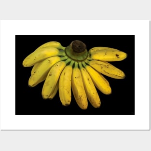 isolated banana Posters and Art